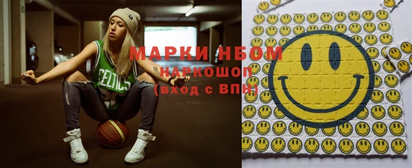 индика Верхний Тагил