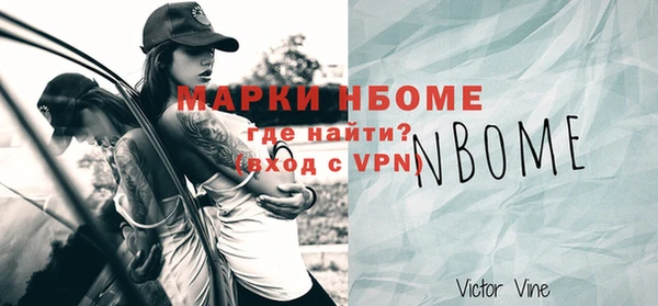 индика Верхний Тагил