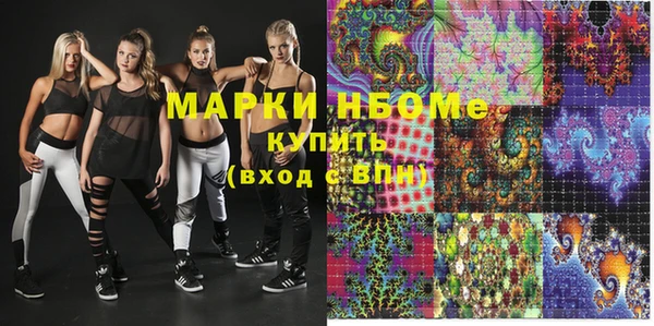 индика Верхний Тагил