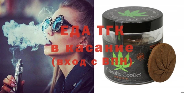 индика Верхний Тагил